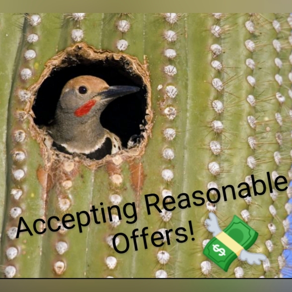 🆕 TRUE RELIGION BLACK HOODIE SWEATSHIRT WITH SILVER STUDS - Picture 10 of 10